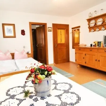 Apartament Metz In